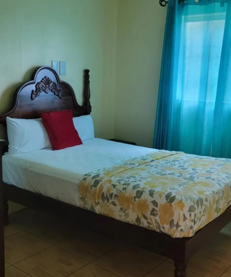 Wizzy Apartment White River Ocho Rios