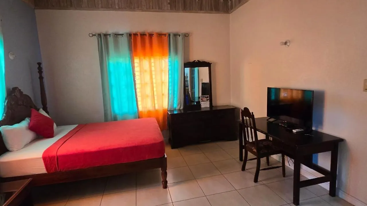 Wizzy Apartment White River Ocho Rios