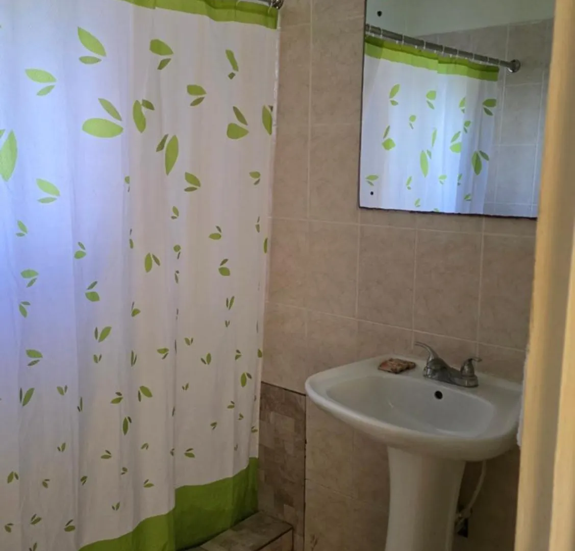 Wizzy Apartment White River Ocho Rios