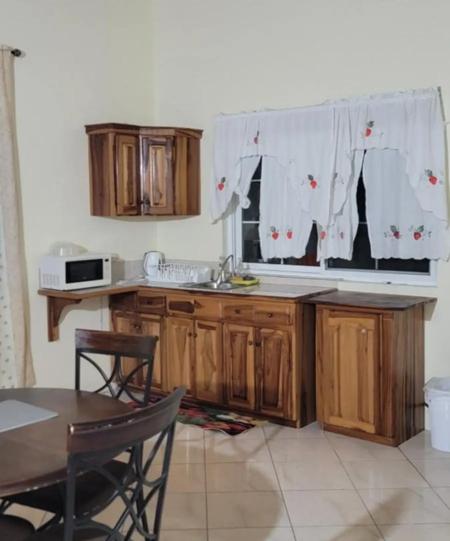 Wizzy Apartment White River Ocho Rios