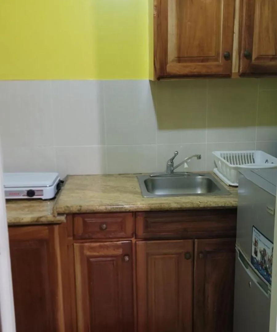 Wizzy Apartment White River Ocho Rios 0*,  Jamaica