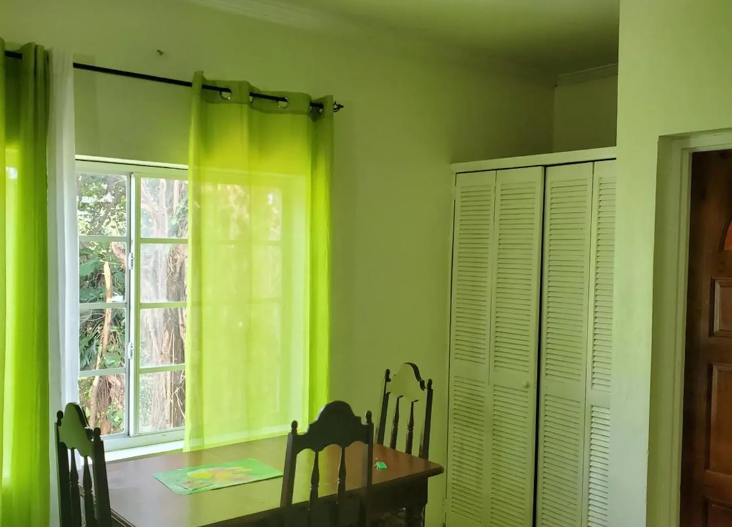 Wizzy Apartment White River Ocho Rios Jamaica