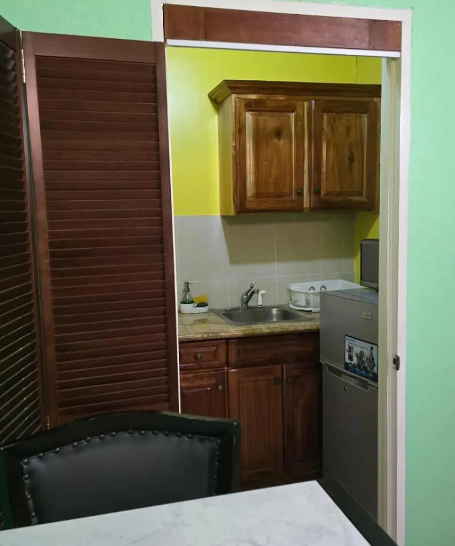 Wizzy Apartment White River Ocho Rios Jamaica