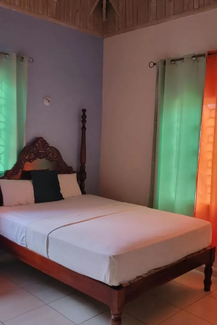 Wizzy Apartment White River Ocho Rios