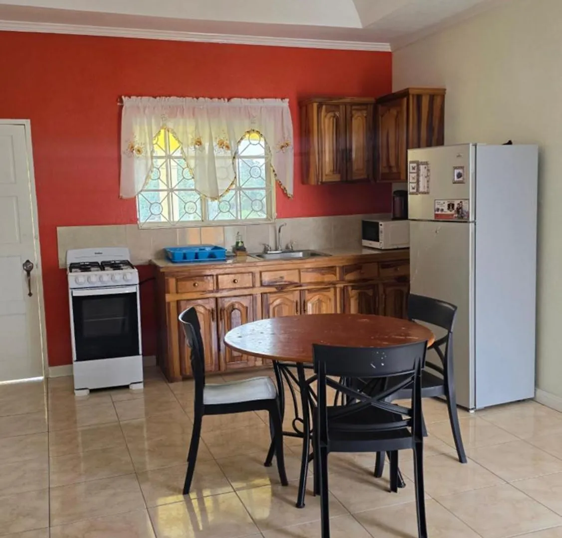 Wizzy Apartment White River Ocho Rios Jamaica