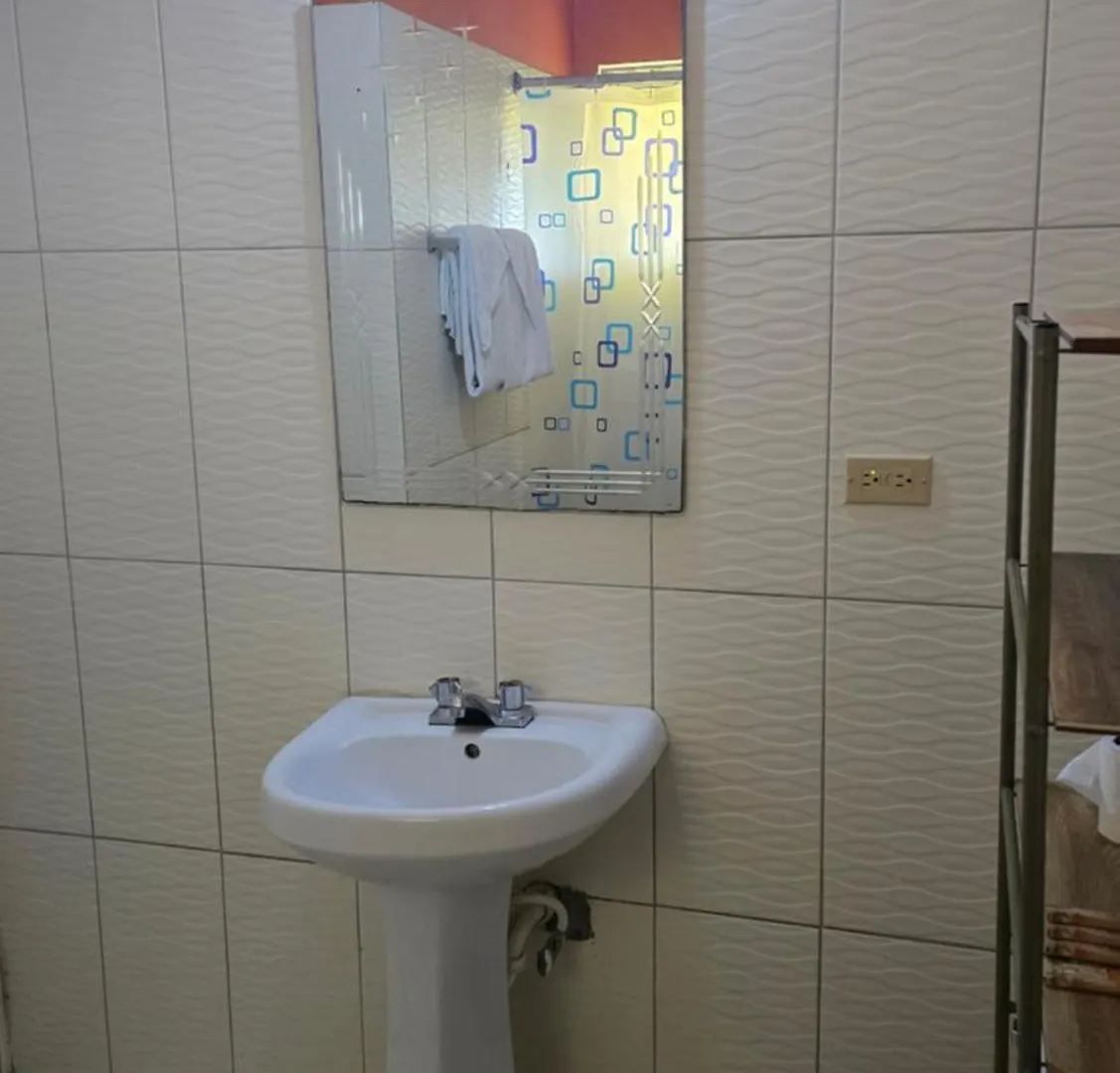 Wizzy Apartment White River Ocho Rios