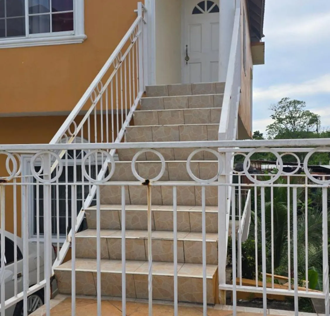Wizzy Apartment White River Ocho Rios