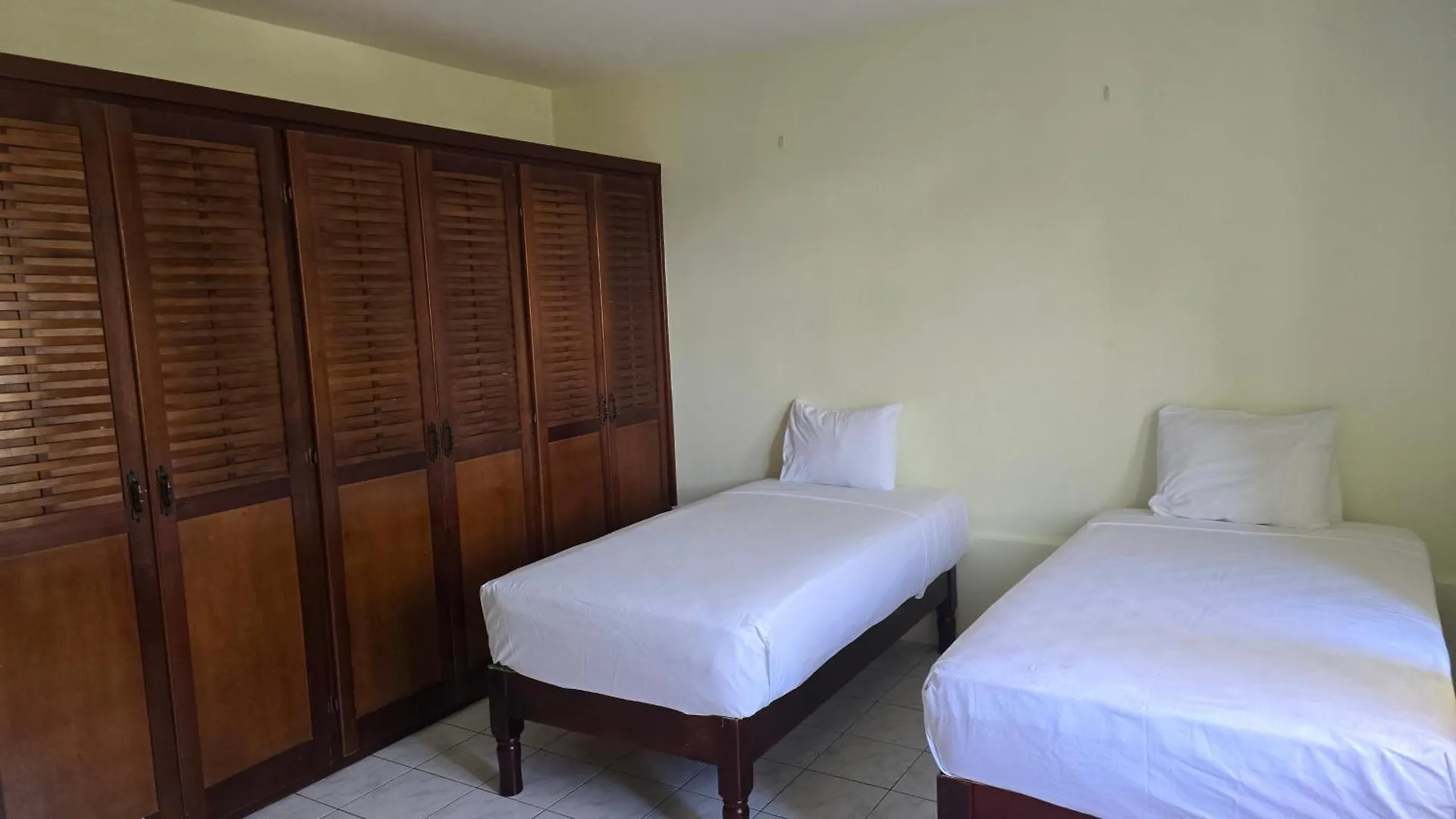 Wizzy Apartment White River Ocho Rios